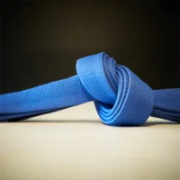 BJJ Blue Belt Requirements 2.0